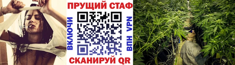 Магазины продажи наркотиков Карачаевск Бошки Шишки  Мефедрон  Cocaine  ГАШ 