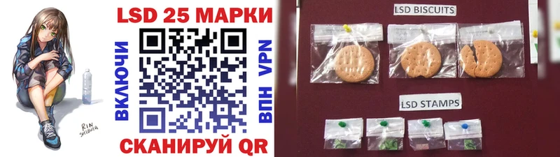 дарнет шоп  Карачаевск  Наркотические марки 1500мкг 