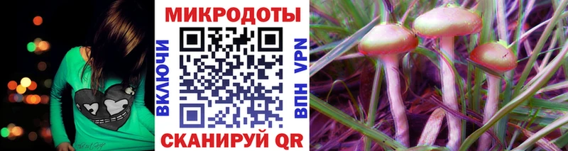 Псилоцибиновые грибы Psilocybe  продажа наркотиков  Карачаевск 